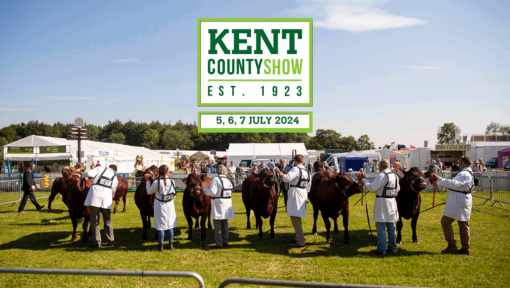 Kent county show 2024 